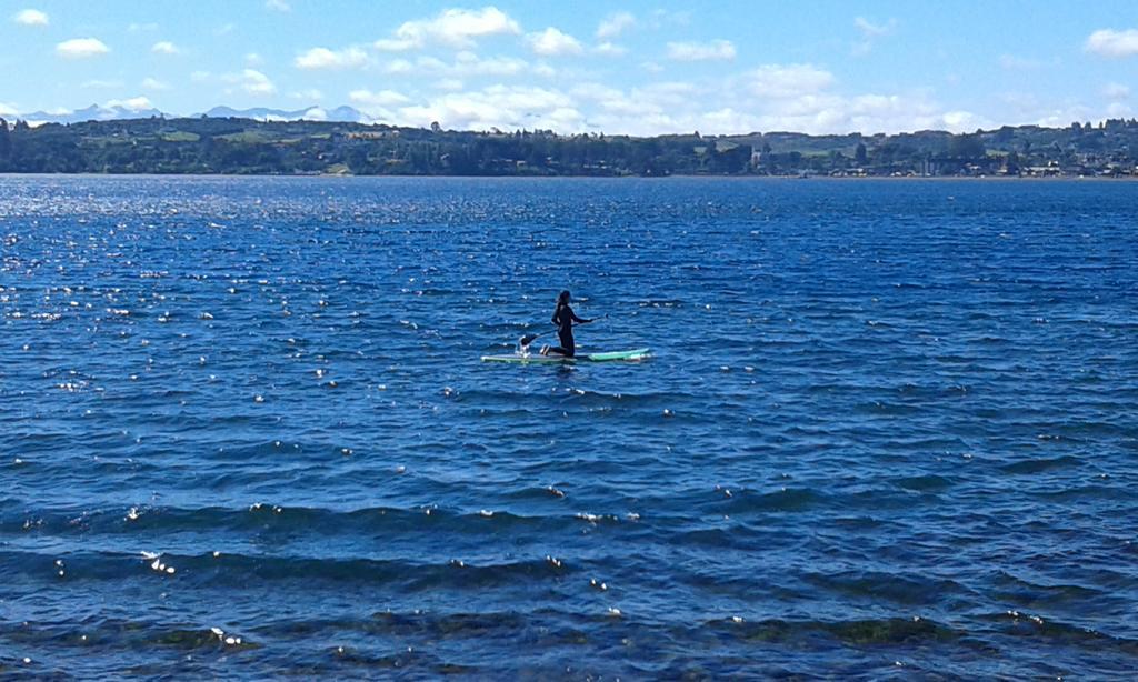 Plaza Brintrup Daire Puerto Varas Dış mekan fotoğraf